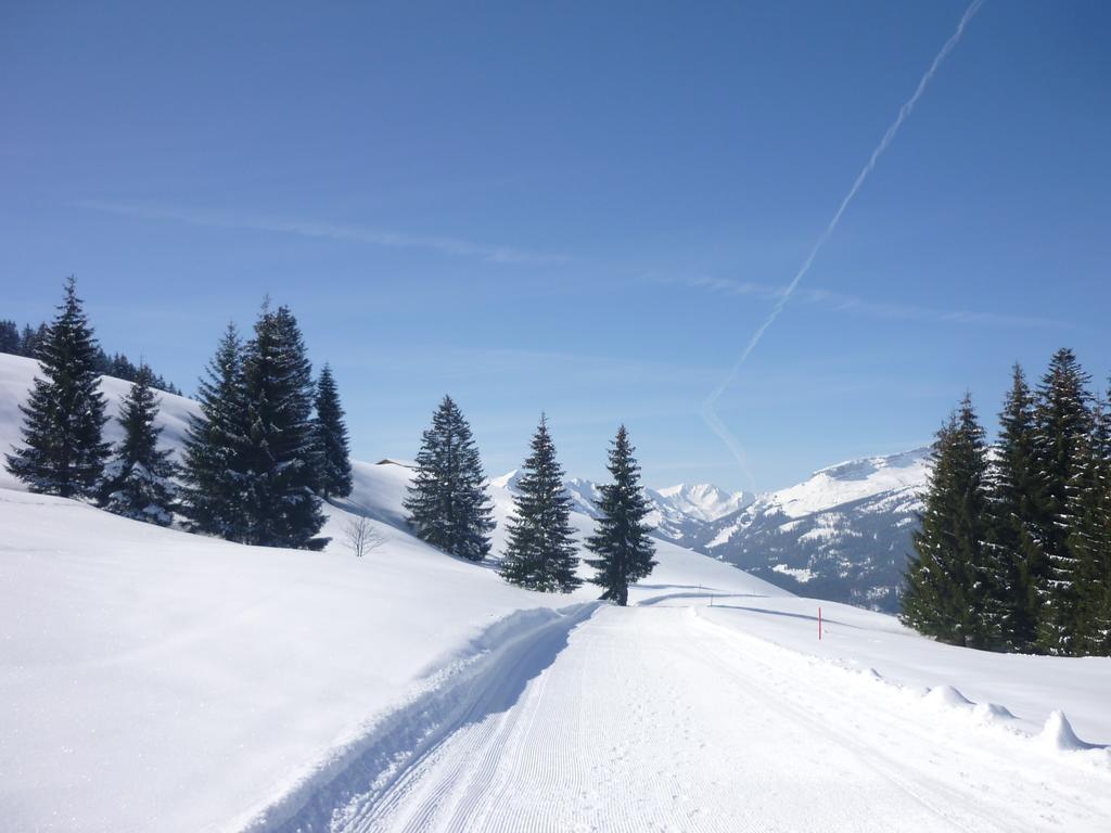 Aigner-vogler Apartament Fischen im Allgaeu