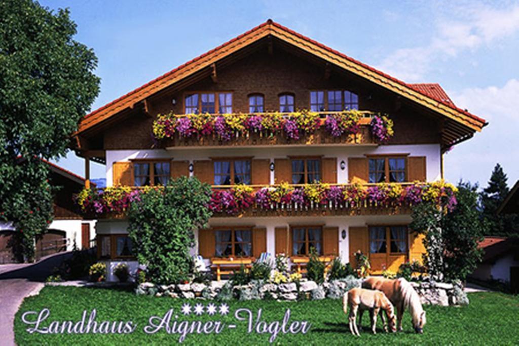 Aigner-vogler